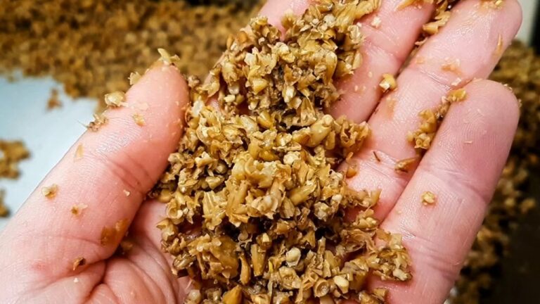 Consigli per Conservare Pizze Gourmet Perfette