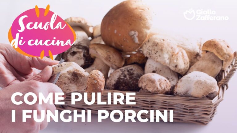 Guida alla Pulizia e Preparazione dei Funghi Porcini Freschi per la Cottura