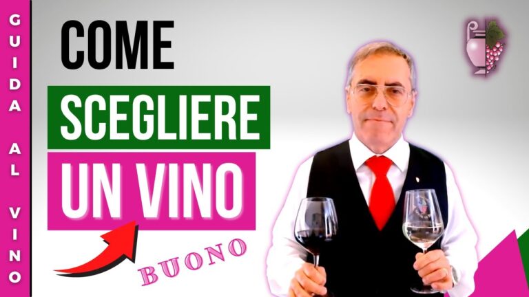 I Migliori Vini per Occasioni Speciali: Una Guida Essenziale