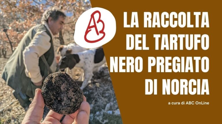 Guida all’Acquisto del Tartufo Nero Online