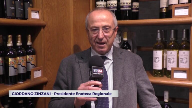 Abbinamenti Perfetti: Vini per Pizze Gourmet