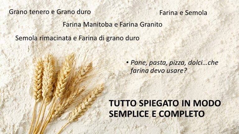 Caratteristiche Uniche della Farina di Grano Duro