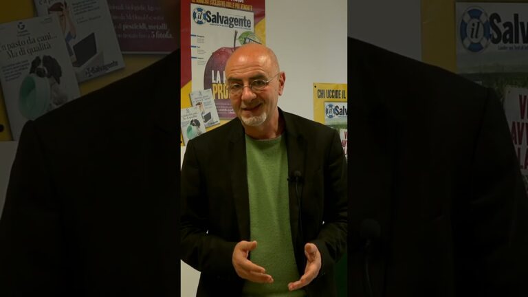 Guida alle Migliori Recensioni di Formaggio Grattugiato