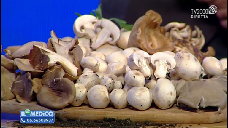 Benefici dei Funghi Porcini Freschi per la Salute