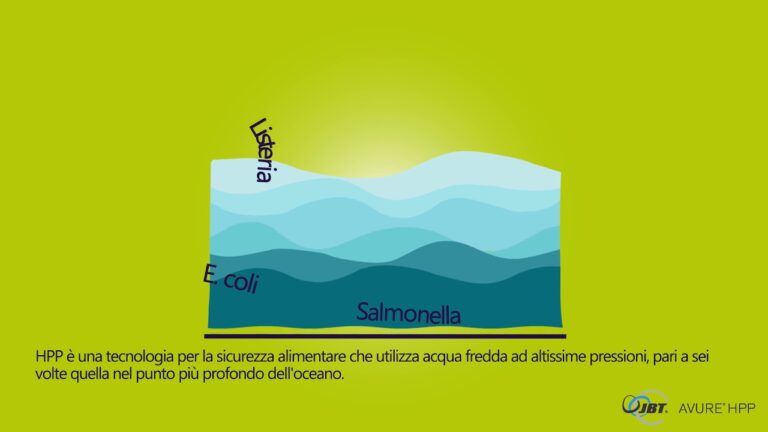 Ottimizzare la Shelf Life dei Frutti di Mare Freschi
