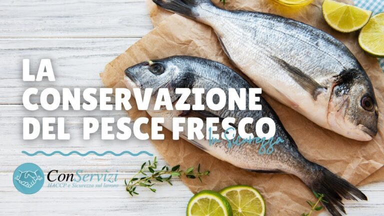 Tecniche Efficaci per la Conservazione del Pesce Fresco