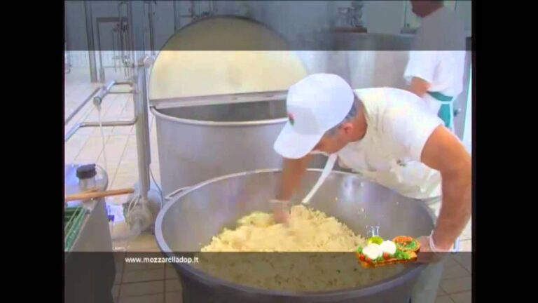 Guida all’Acquisto della Mozzarella di Bufala di Qualit&agrave;