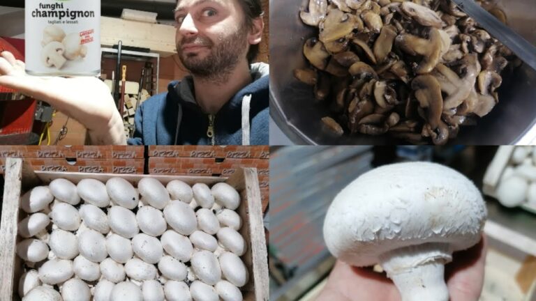 Guida ai migliori posti per acquistare condimenti freschi per pizza