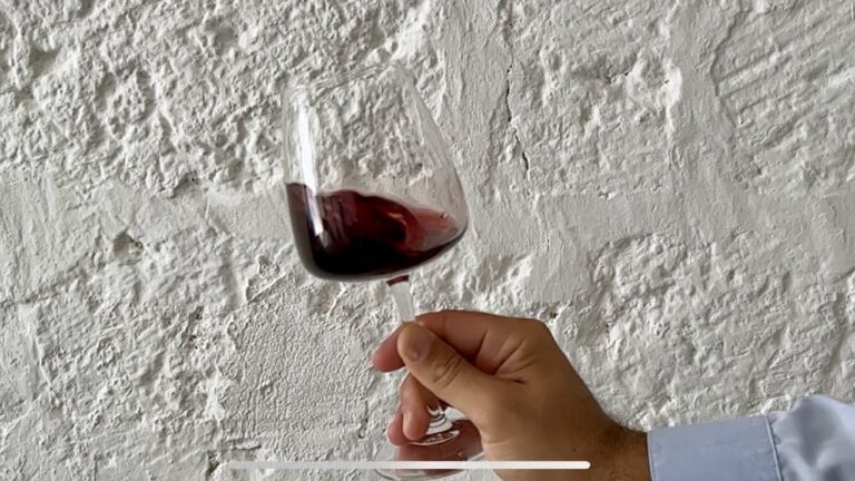Newsletter Gourmet: Ricette e Abbinamenti di Vini
