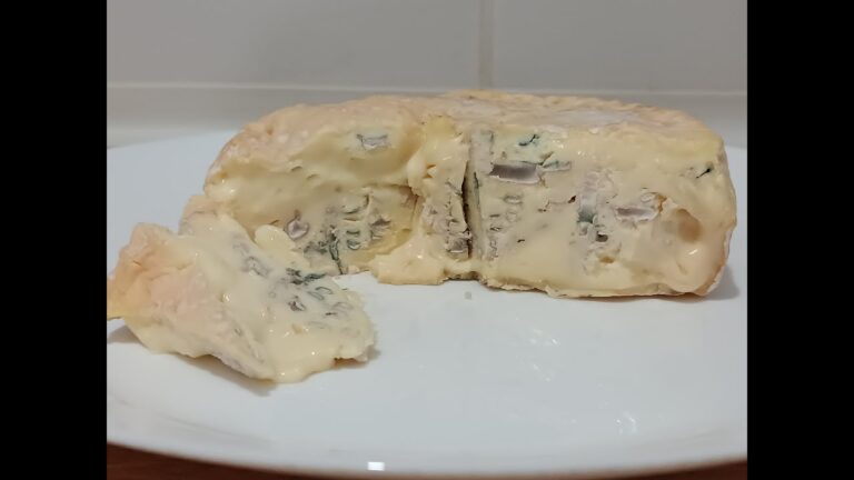 Acquisto di Formaggio Gorgonzola di Alta Qualit&agrave;: Guida e Consigli
