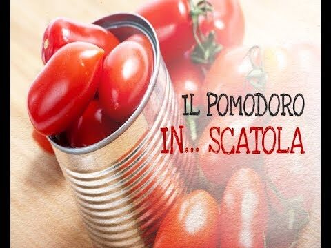 Dove Trovare Salsa Pomodoro Biologica di Qualità