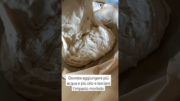 Differenze tra Pizza e Focaccia: Una Guida Essenziale